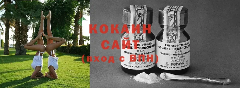 Cocaine FishScale  купить   Барабинск 